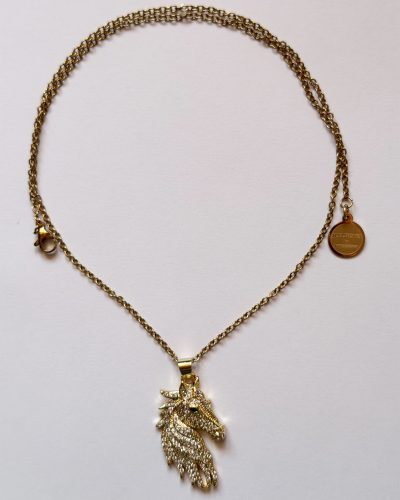 Zirga gada talismans - medaljons dāvanu kastē